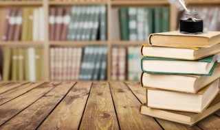 鲁智深单打二龙山概括 鲁智深单打二龙山概括50字