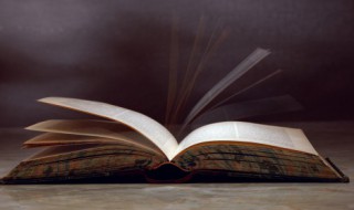 厉害的反义词是什么（厉害的反义词是什么 标准答案）