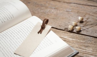 慈祥的反义词是什么（慈祥的反义词是什么(最佳答案）