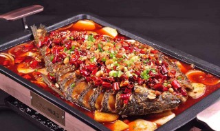 烤鱼的热量 抽脂肪20斤一般多少钱