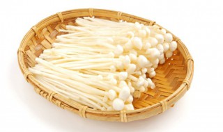 羊肉和金针菇可以一起吃吗（羊肉和金针菇可以一起吃吗宝宝）