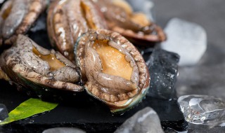 鲍鱼暂时不吃如何保存 鲍鱼带壳冷冻还是去壳冷冻好