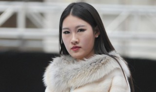 裘皮和貂皮有什么区别（裘皮和貂皮有什么区别图片）