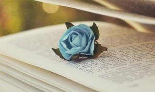 冲多音字组词(冲的多音字组词)