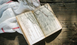 难的反义词是什么（难的反义词是什么词）