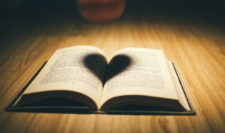 百合花课文概括 百合花课文主要内容概括