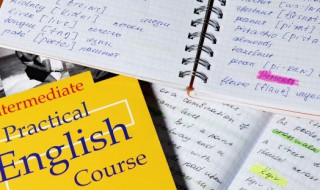 speek是什么意思（speed是什么意思）