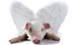 做梦梦见猪是什么意思（女人梦见猪是什么预兆）