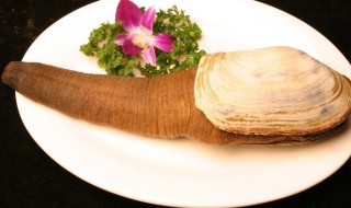 酱爆象拔蚌怎么做 火爆象拔蚌