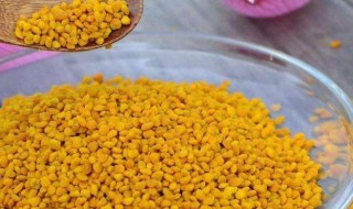 莲粉的制作方法 莲粉怎么吃的