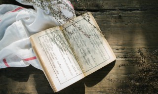 苏轼是诗什么称 苏轼是诗什么称号居士