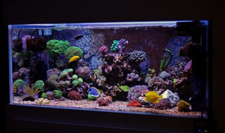 底面积乘高等于什么（圆锥底面积乘高等于什么）