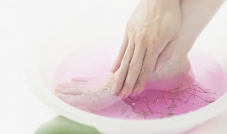 去湿有哪几种方法（去湿的最有效方法）