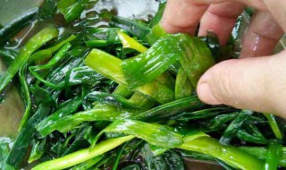 腌大蒜叶的方法和配料 腌大蒜叶的做法