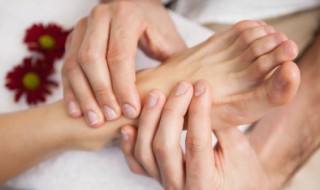 筑宾的功效与作用 筑宾的功效与主治