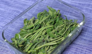 腌香椿芽的做法 腌香椿芽的做法家常