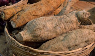 生姜加葛根的功效作用 生姜加葛根的功效与作用