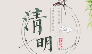 清明时节雨纷纷的作者是谁 清明时节雨纷纷的作者是谁诗题是什么