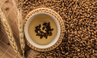 大麦茶能直接泡水喝吗 大麦茶可以冲泡吗