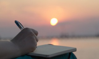 放风筝作文三年级（放风筝作文三年级下册300字左右）