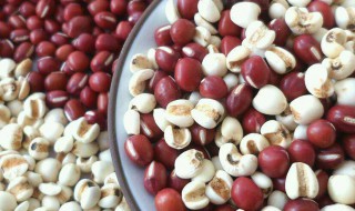 赤小豆薏米去湿气怎么做 赤小豆薏米除湿效果好吗