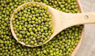 绿豆可以泡水喝吗 绿豆可以泡水喝吗有毒吗