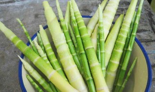 什么情况不能吃竹笋（什么情况不能吃竹笋炒肉）