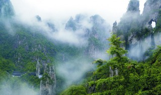 平阳清明节去哪里玩（平阳春节哪里好玩）