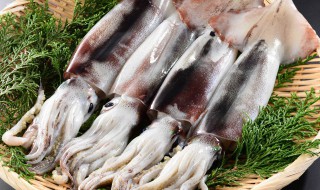 带籽墨鱼仔怎么做（带籽墨鱼仔怎么做好吃窍门）