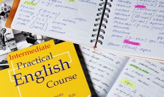 sugar怎么读的 cheese怎么读