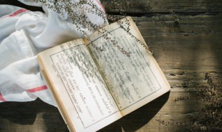 格列佛游记慧驷国概括 格列佛游记中慧骃国的主要事件