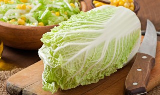 白菜炖豆腐的家常做法 白菜炖豆腐粉条五花肉的家常做法