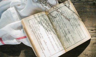 乳怎么组词（乳怎么组词组词）