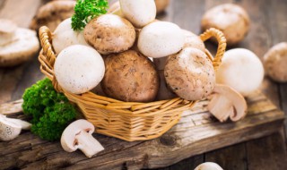 梦见好多蘑菇是什么意思（女人梦见自己捡野生蘑菇）