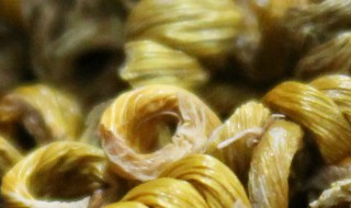 霍斛的功效与作用及食用方法 霍斛的功效与作用及食用方法禁忌