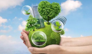 我为环保做贡献作文(我为环保做贡献作文100字)