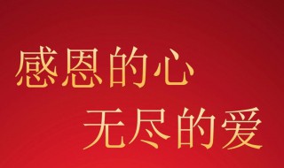 有关感恩父母的作文 有关感恩父母的作文800字高中