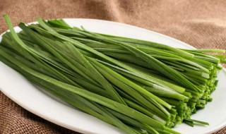 韭菜如何吃好(韭菜如何吃好吃又简单)