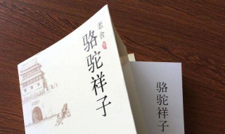 骆驼祥子读后感500字 骆驼祥子读后感500字初中免费