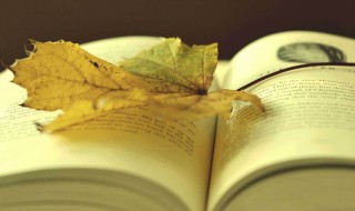 形容秋天的四字词语（形容冬天的四字词语唯美）