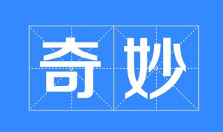 奇妙的近义词是什么(奇妙的近义词是什么 三年级)