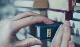 表示拿的词语 表示拿的词语1个字