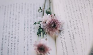 轻松的反义词（轻松的反义词是什么 标准答案）