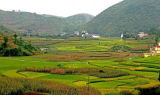 田园风光的作文 有关于乡村田园风光的作文