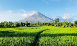 东南亚适宜种那种粮食 东南亚适宜种那种粮食作物
