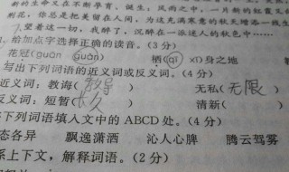 精致的反义词(精致的反义词和近义词)