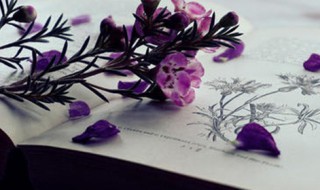 打量的近义词 气派的近义词