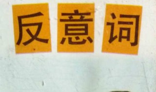 粗壮的反义词 粗壮的反义词是什么词