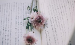 宽容的近义词 宽容的近义词有哪些