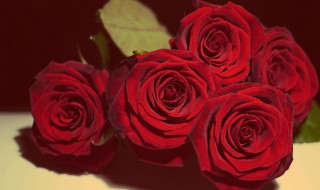 写花的作文 写花的作文400字